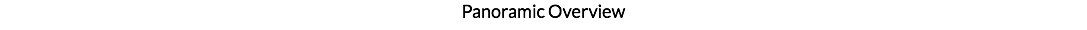 Panoramic Overview