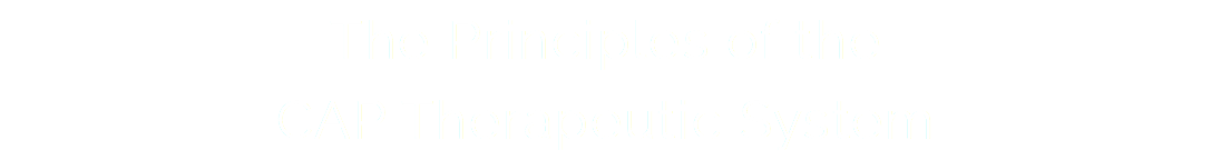 The Principles of the CAP Therapeutic System