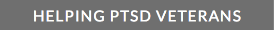 HELPING PTSD VETERANS