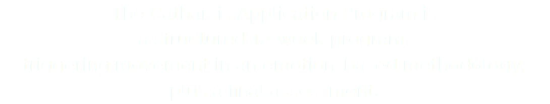 The Catharsis Application Program is a structured 12-week program, triggering movement in an emotion-based methodology, plus a final assessment.