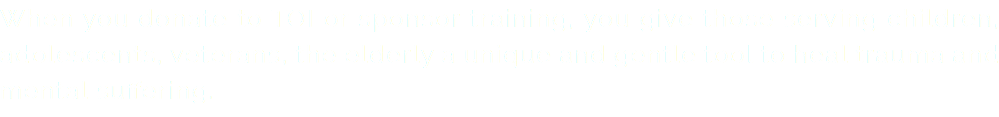 When you donate to TOI or sponsor training, you give those serving children, adolescents, veterans, the elderly a unique and gentle tool to heal trauma and mental suffering.