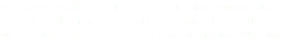 When you donate to TOI or sponsor training, you give those serving children, adolescents, veterans, the elderly a unique and gentle tool to heal trauma and mental suffering.