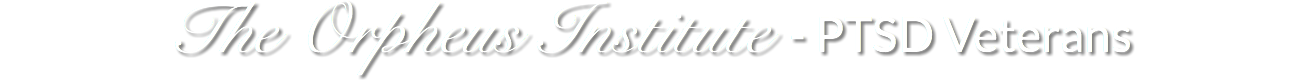 The Orpheus Institute - PTSD Veterans