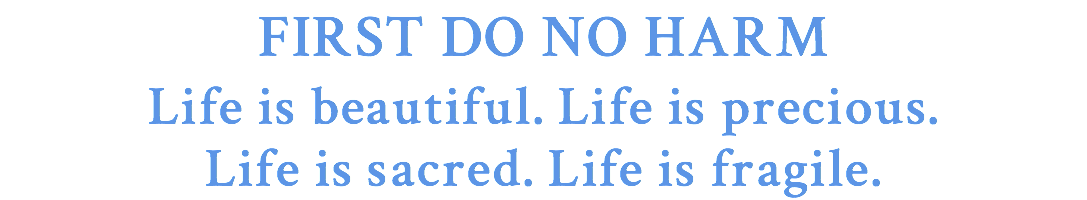 FIRST DO NO HARM Life is beautiful. Life is precious. Life is sacred. Life is fragile.