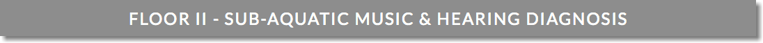FLOOR II - SUB-AQUATIC MUSIC & HEARING DIAGNOSIS