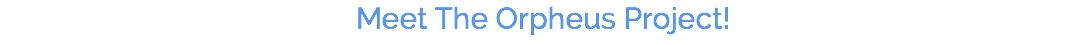 Meet The Orpheus Project!